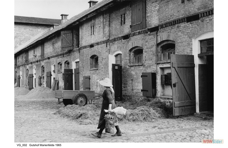 gutshausmarienfelde_vg_002