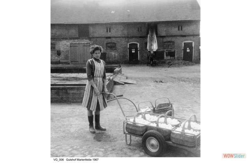 gutshausmarienfelde_vg_006