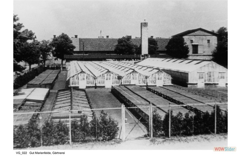 gutshausmarienfelde_vg_022