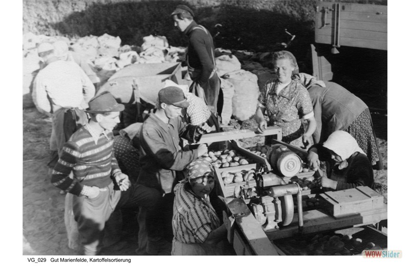 gutshausmarienfelde_vg_029