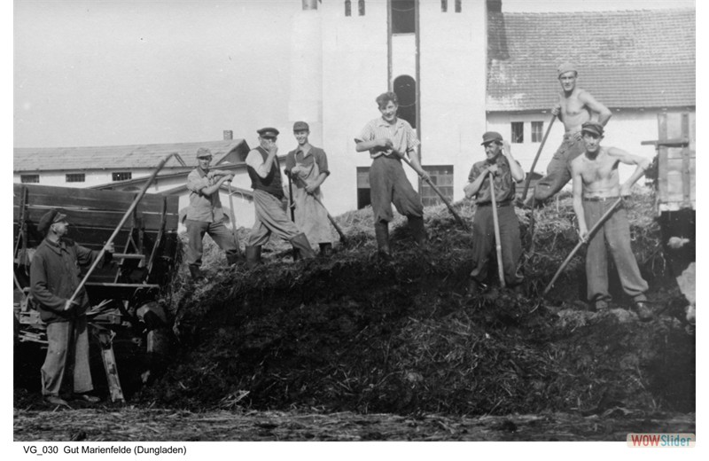 gutshausmarienfelde_vg_030