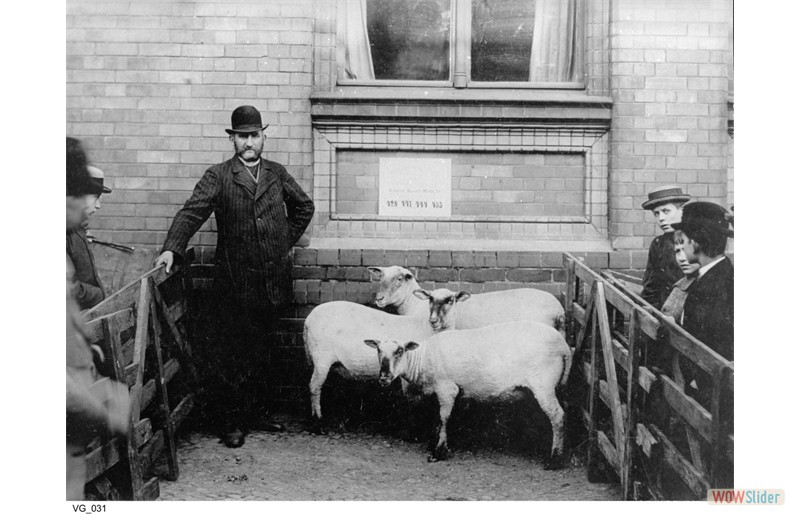 gutshausmarienfelde_vg_031