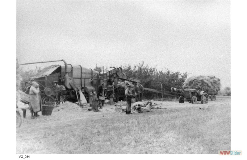 gutshausmarienfelde_vg_034