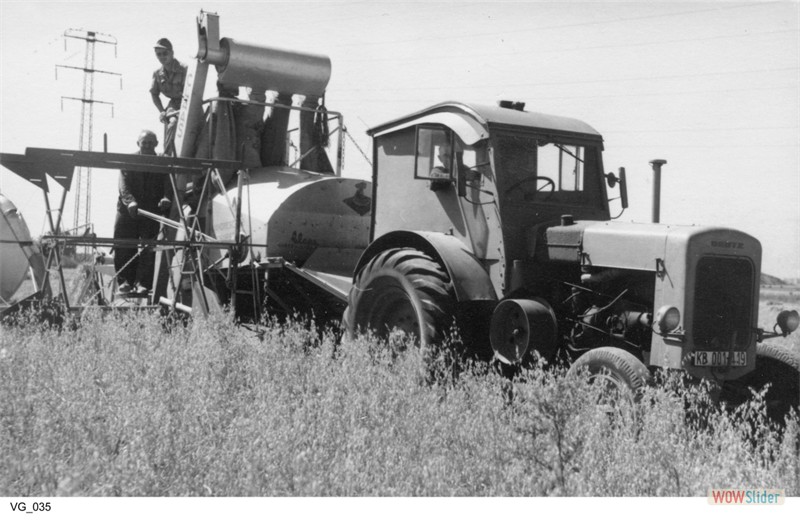 gutshausmarienfelde_vg_035