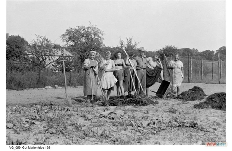 gutshausmarienfelde_vg_059