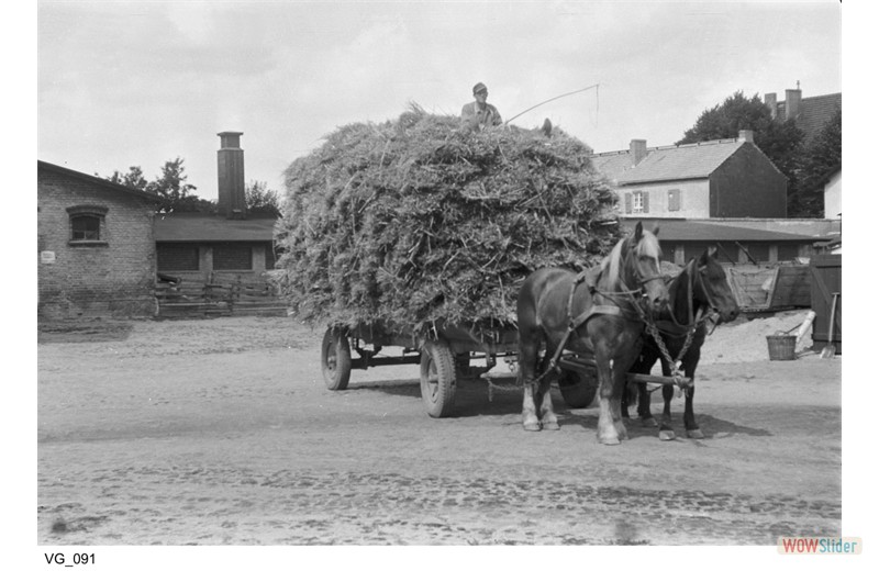 gutshausmarienfelde_vg_091